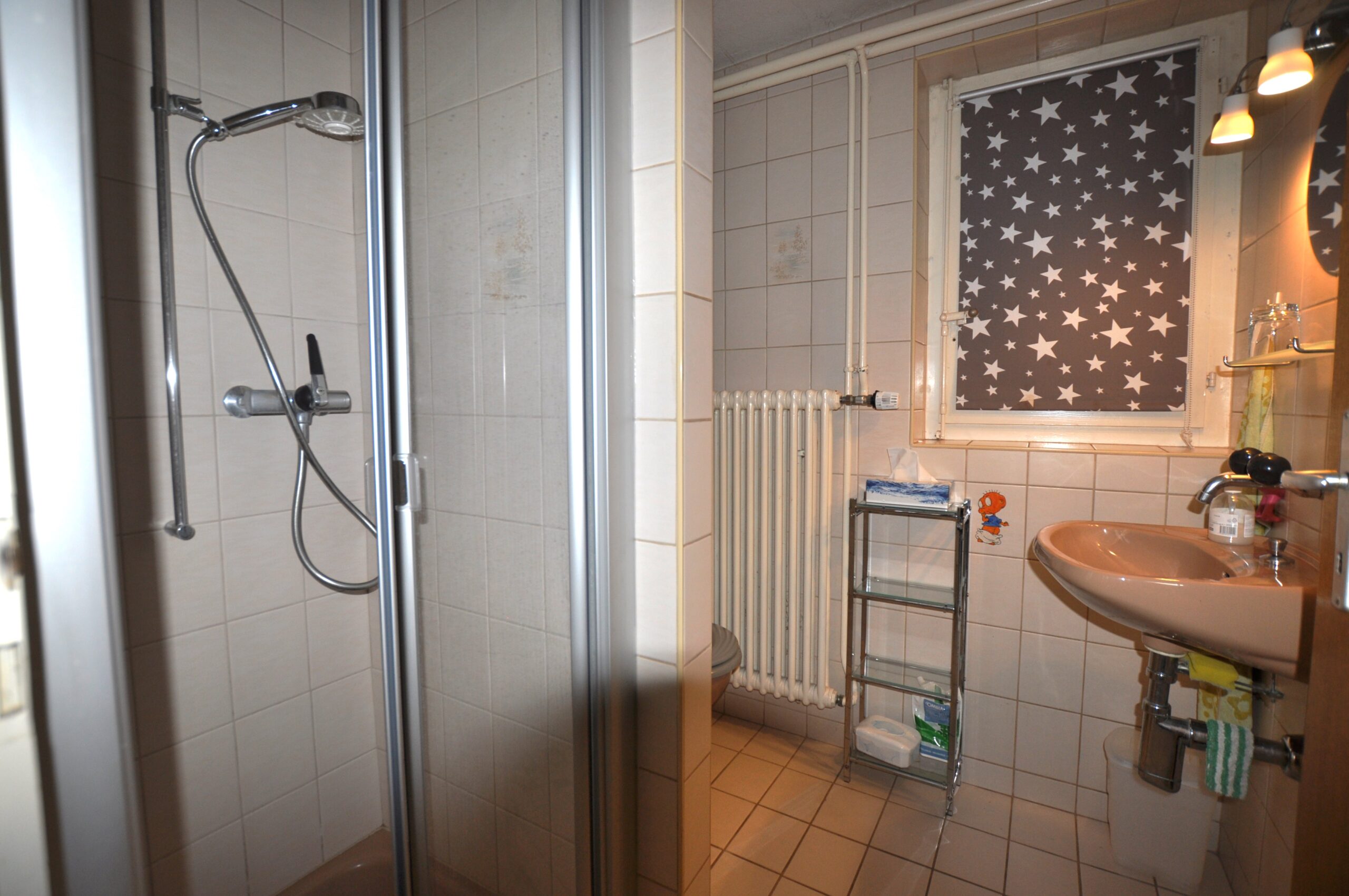 Kleines Badezimmer mit Dusche und Waschbecken