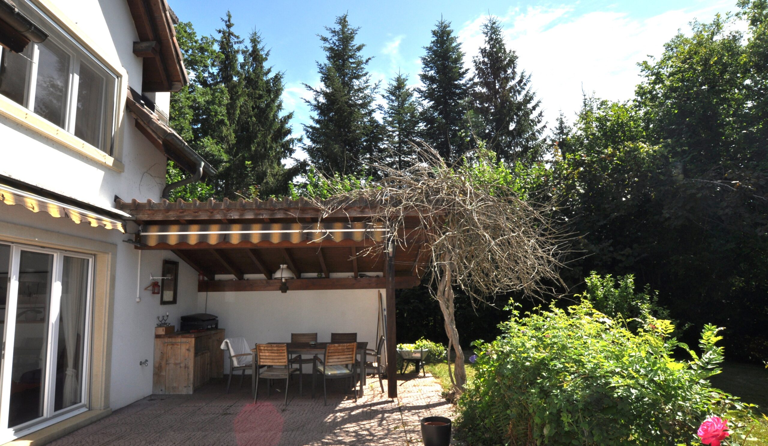 Garten- und Terrassenbereich mit Hausfassade