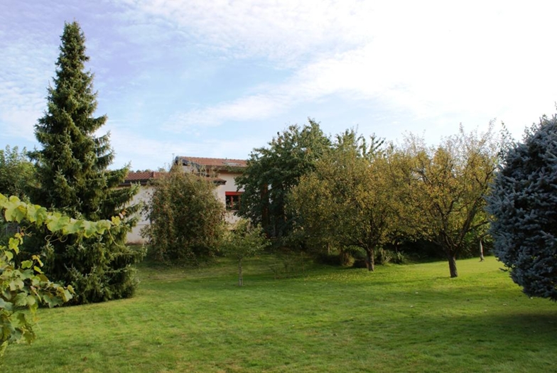 Garten mit Bäumen und Rasen