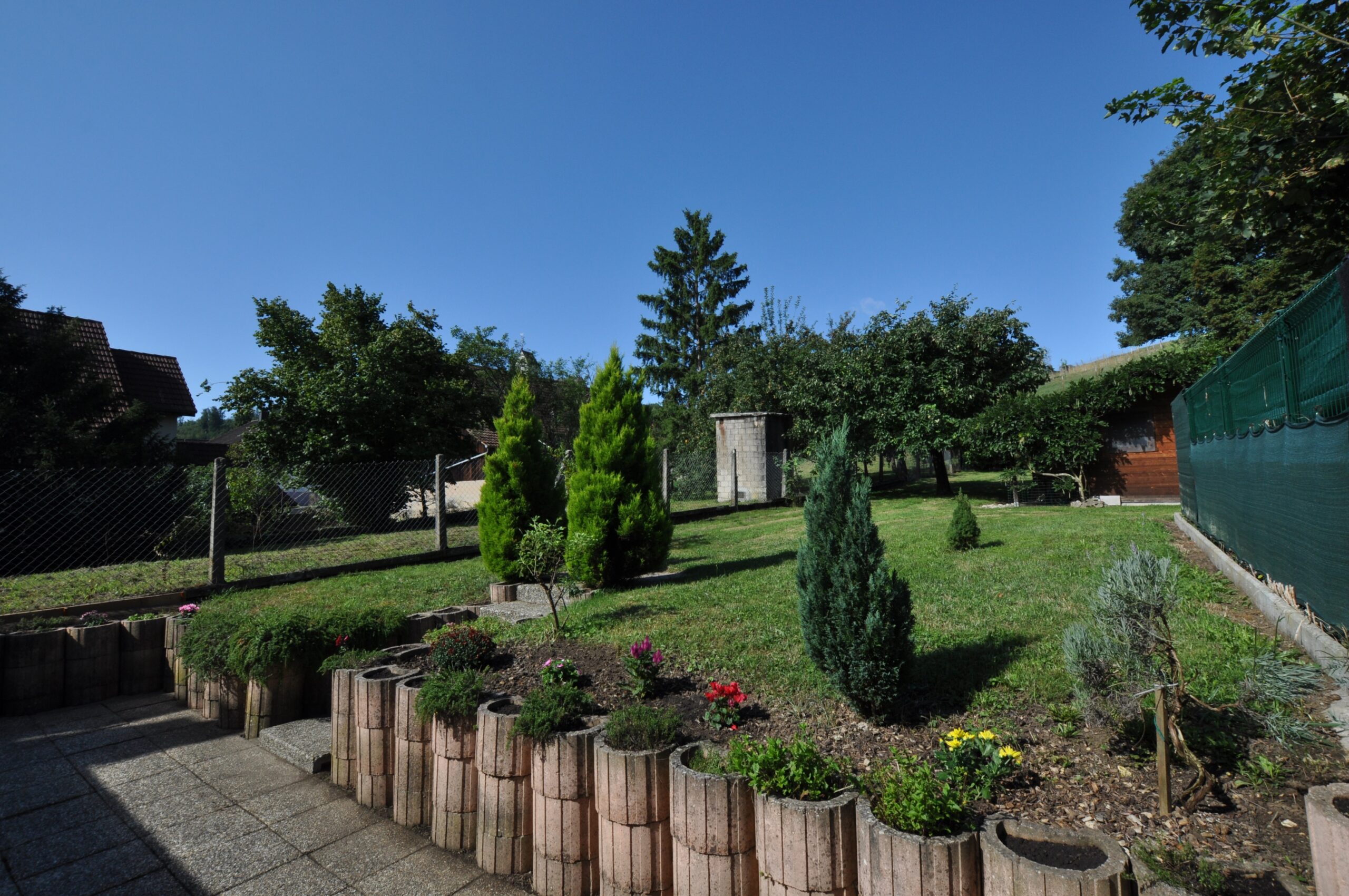 Gepflegter Garten mit Rasen und Zierpflanzen