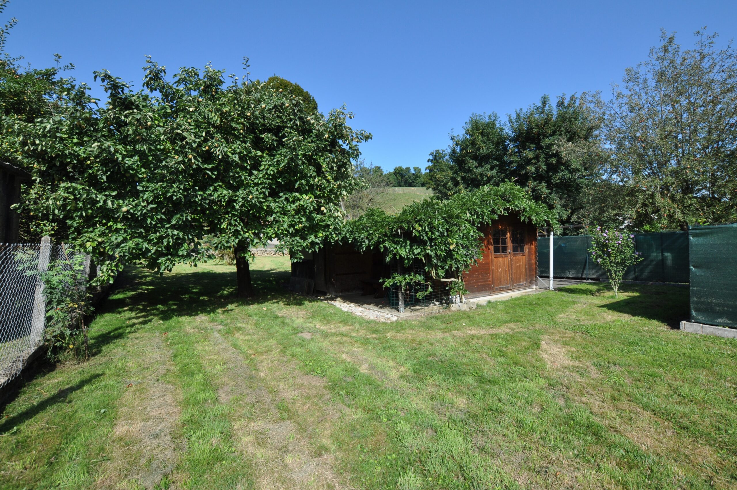 Garten mit Holzschuppen