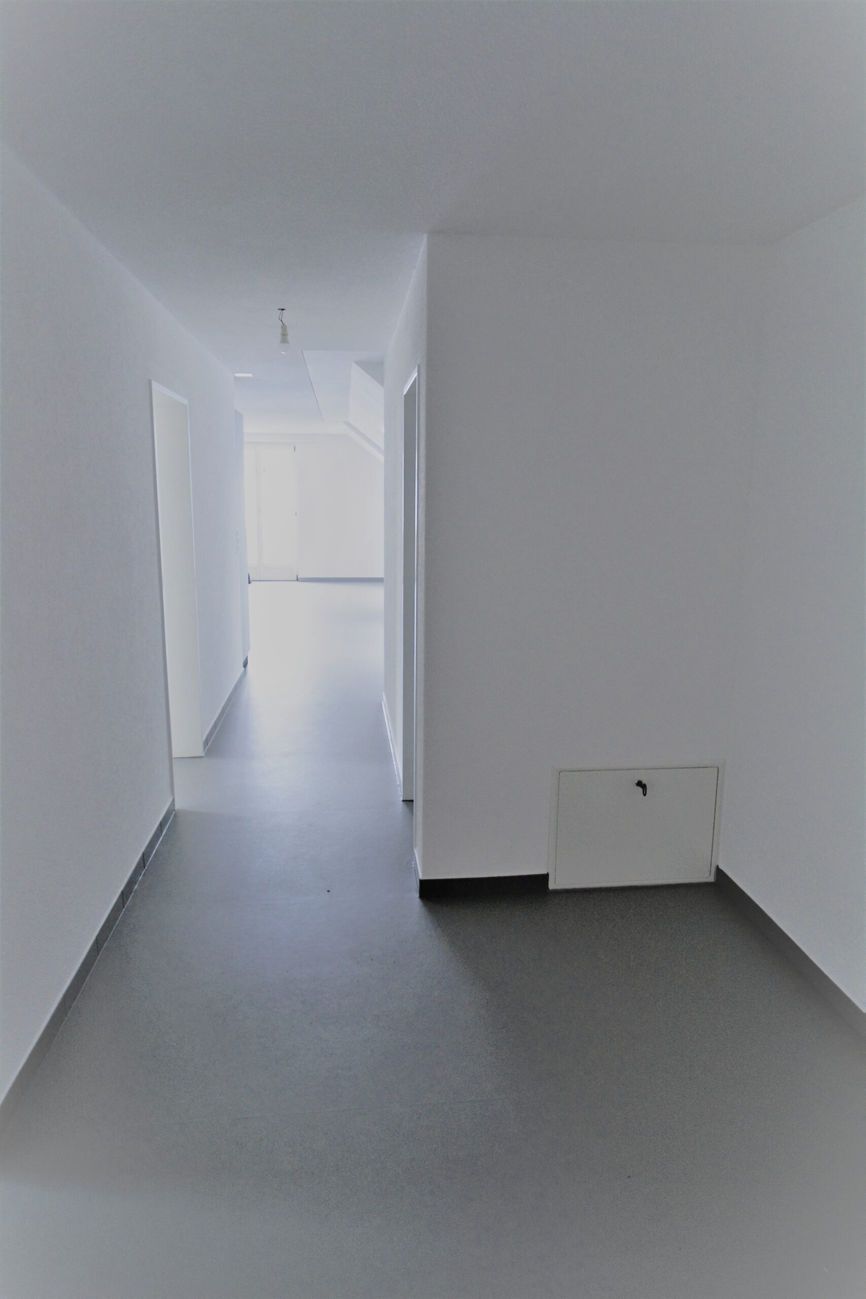 Minimalistischer Flur mit grauem Boden