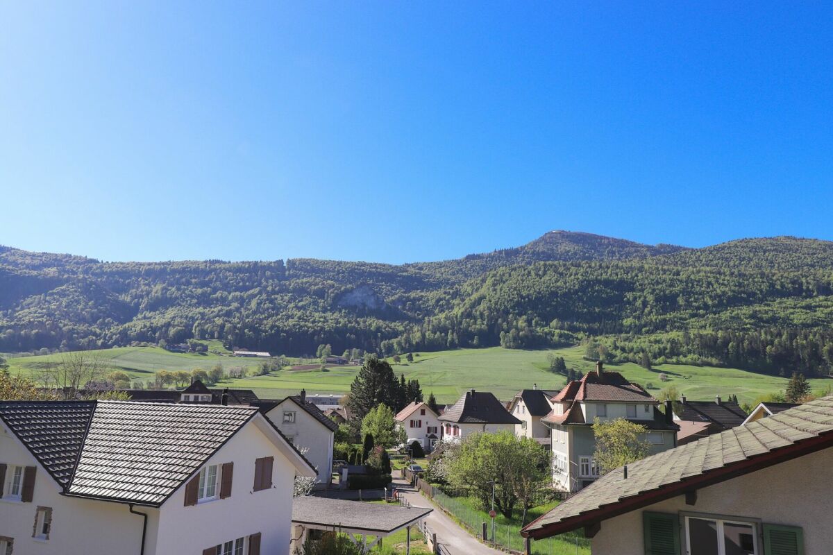Blick über ein Wohngebiet mit Bergpanorama