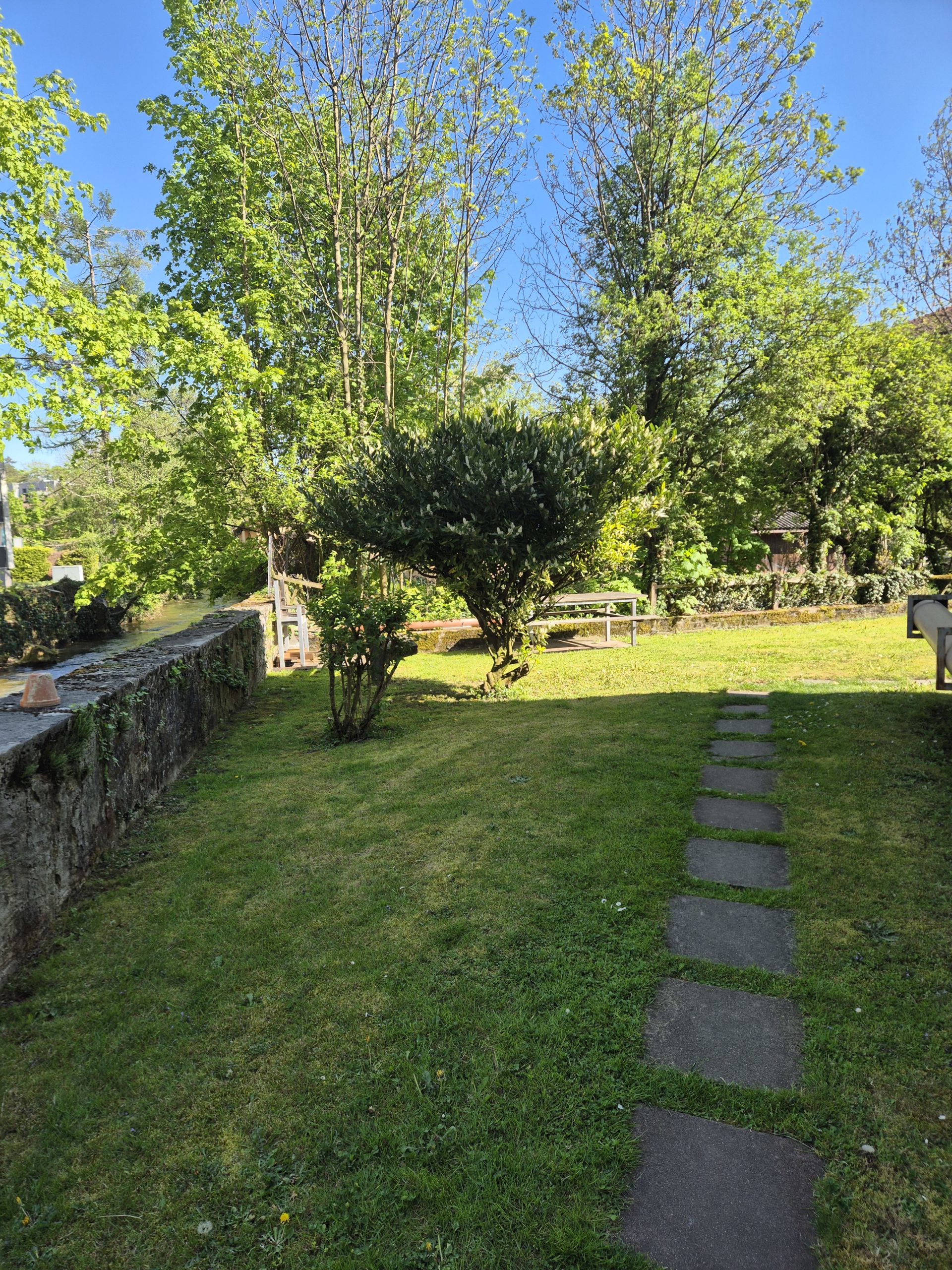 Garten mit Rasen und Bäumen