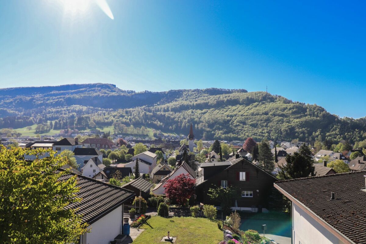 Bergpanorama über Wohngebiet