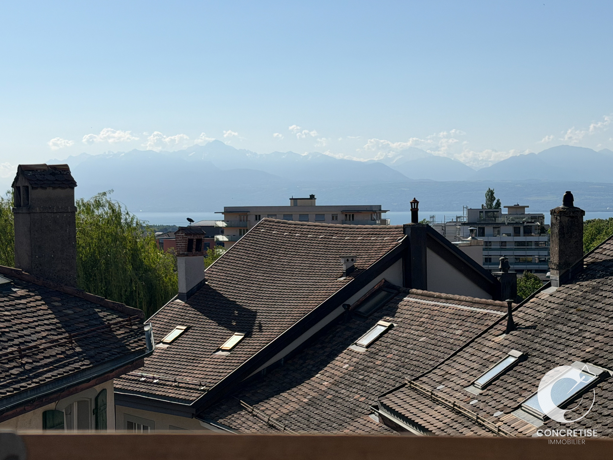 Dachlandschaft mit Seeblick und Bergpanorama