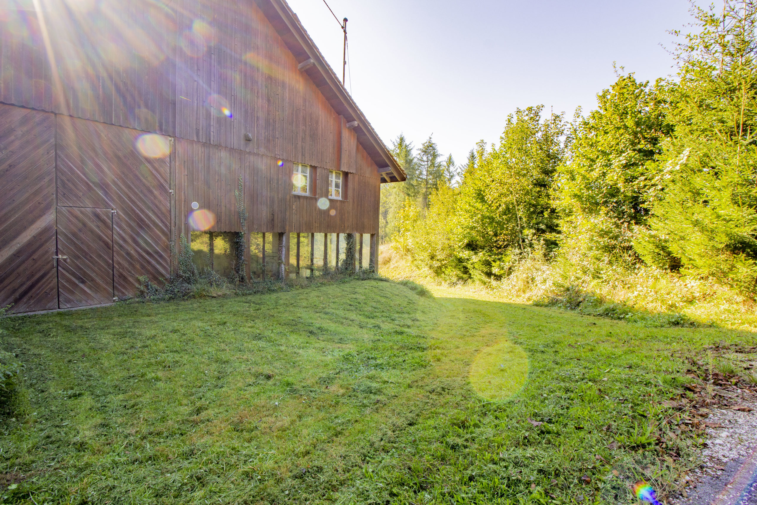 Holzgebäude am Waldrand mit Garten