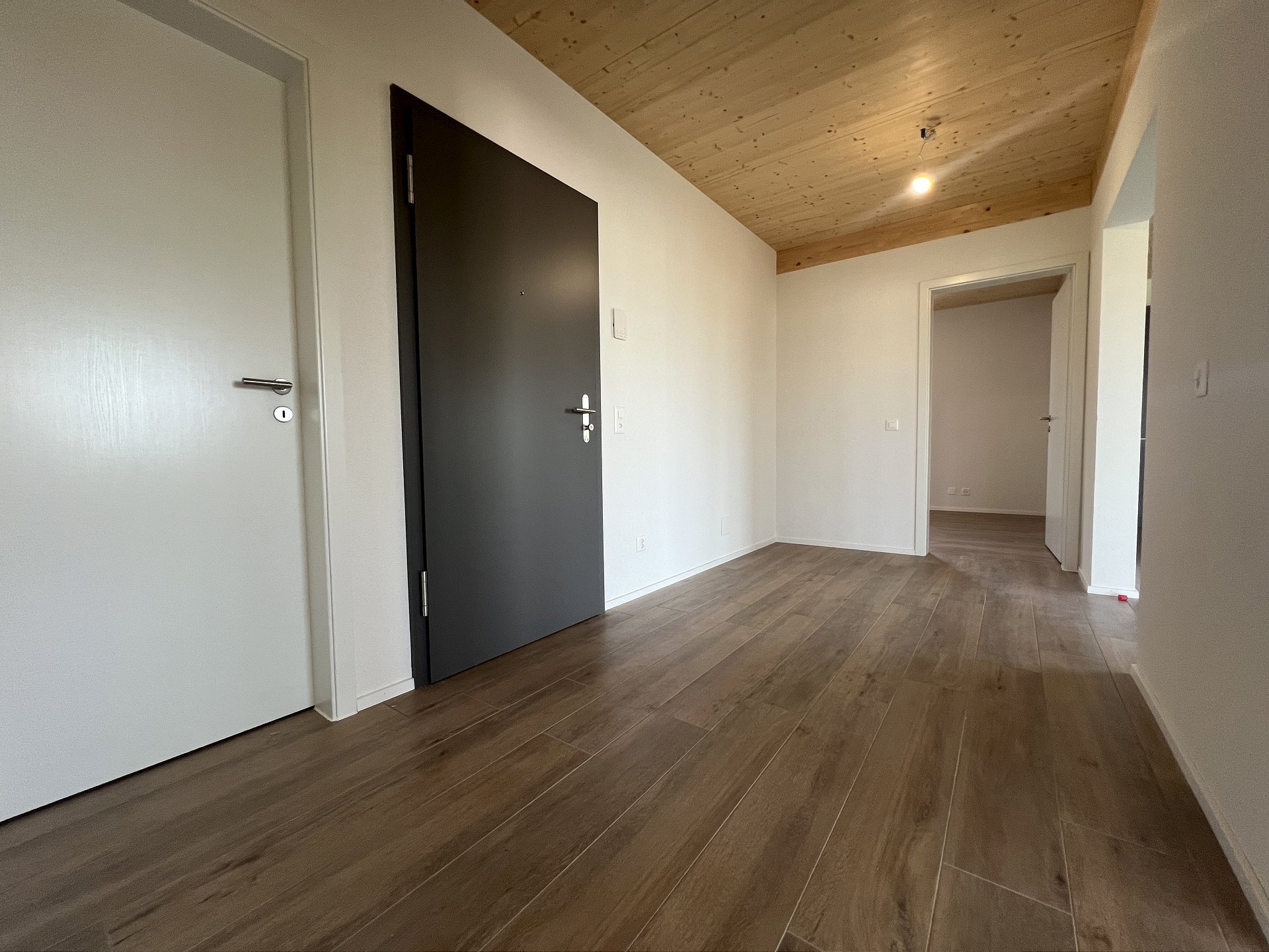 Moderner Flur mit Holzboden und schwarzer Tür