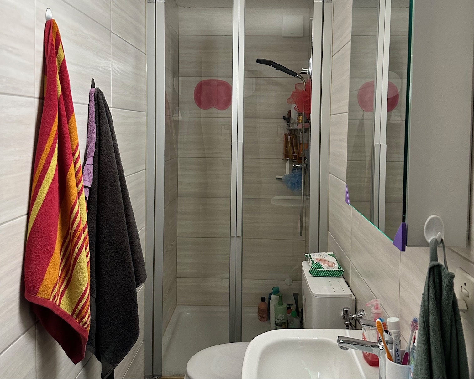 Kleines Badezimmer mit Dusche