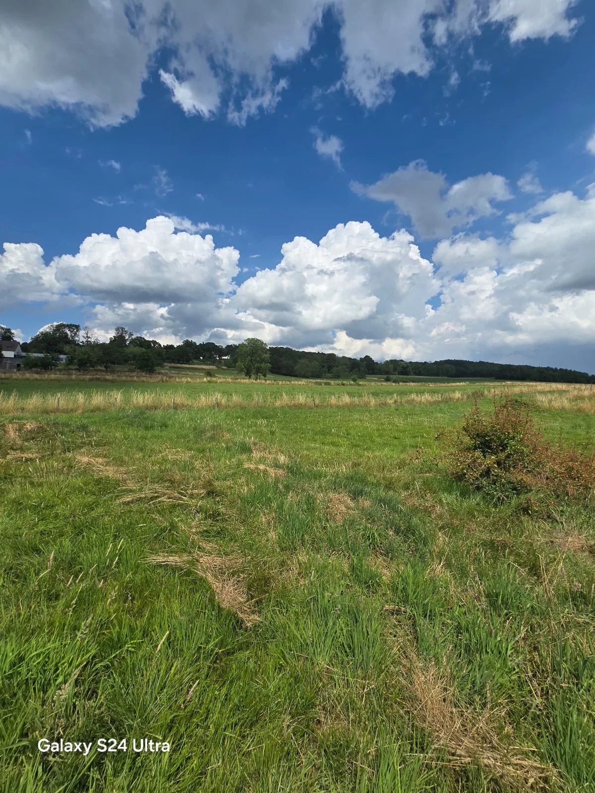 Weite Wiesenlandschaft mit Himmel