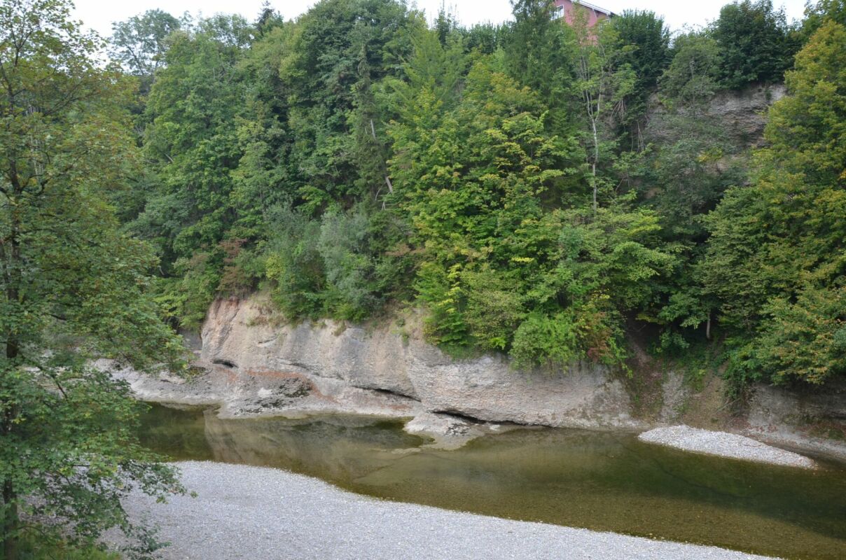 Flusslauf in bewaldeter Schlucht