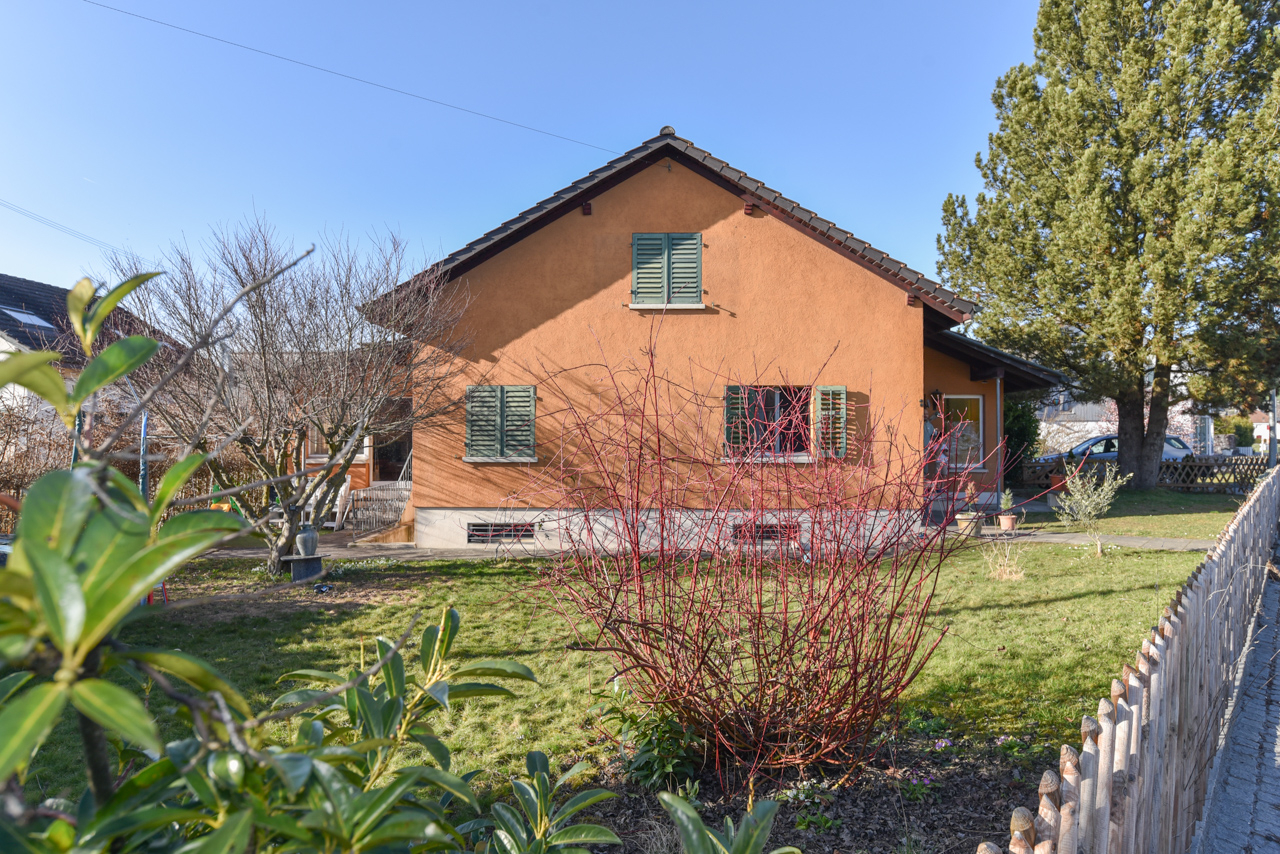 Einfamilienhaus mit Garten