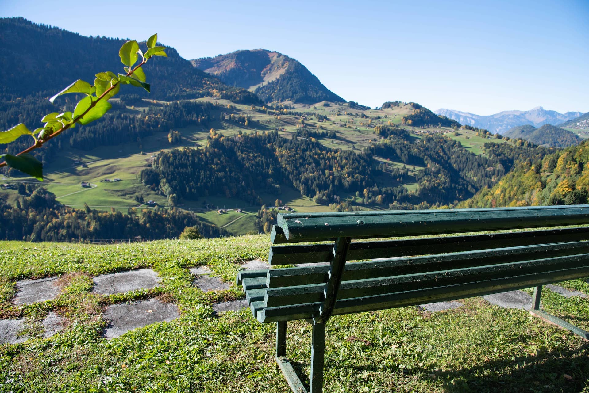 Bergblick mit Bank