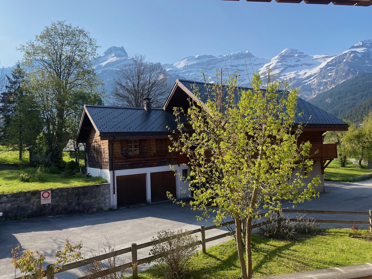 Alpenhaus mit Bergblick
