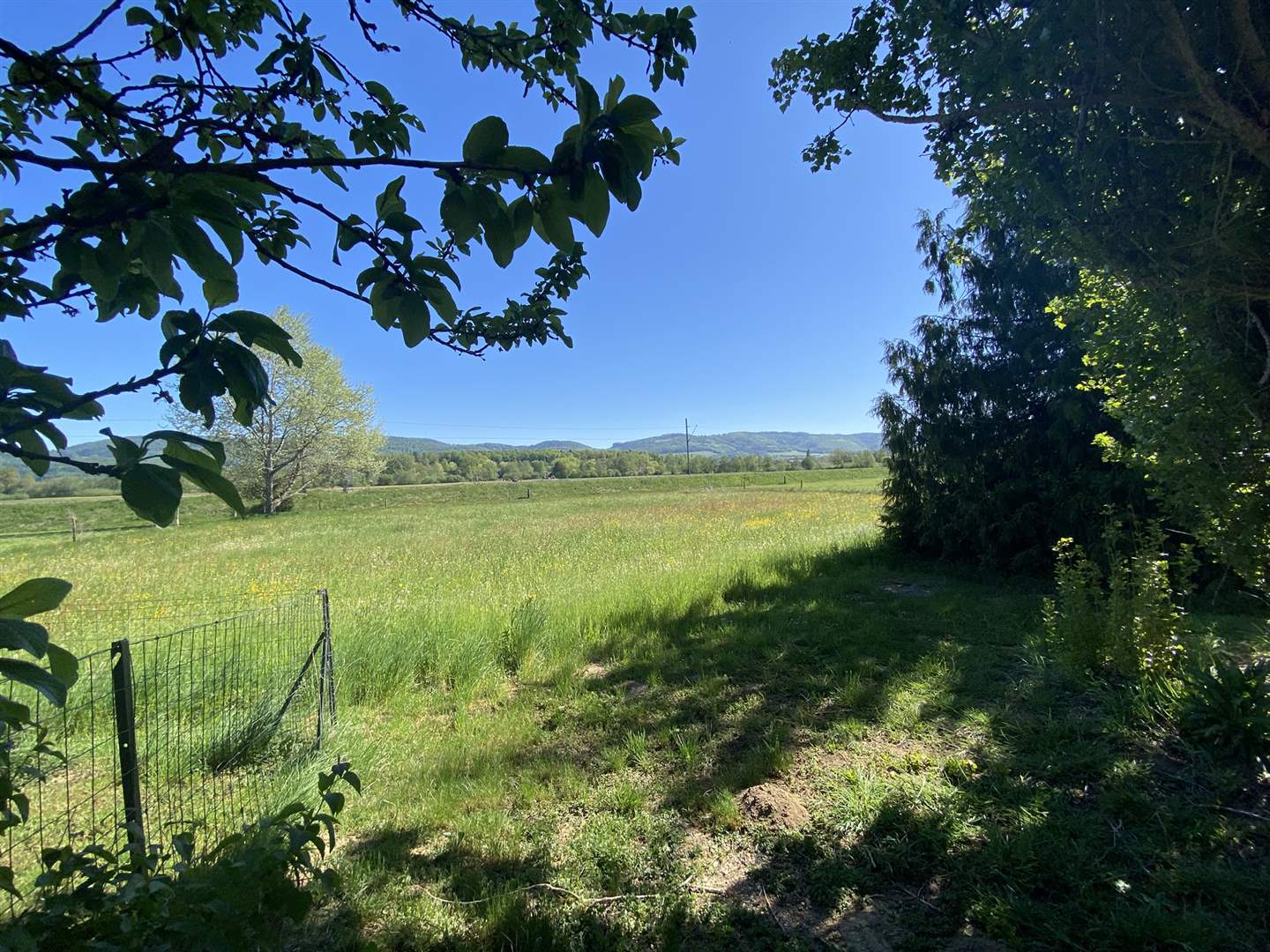 Landschaftsblick über Wiese