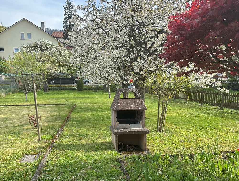 Garten mit Grillkamin