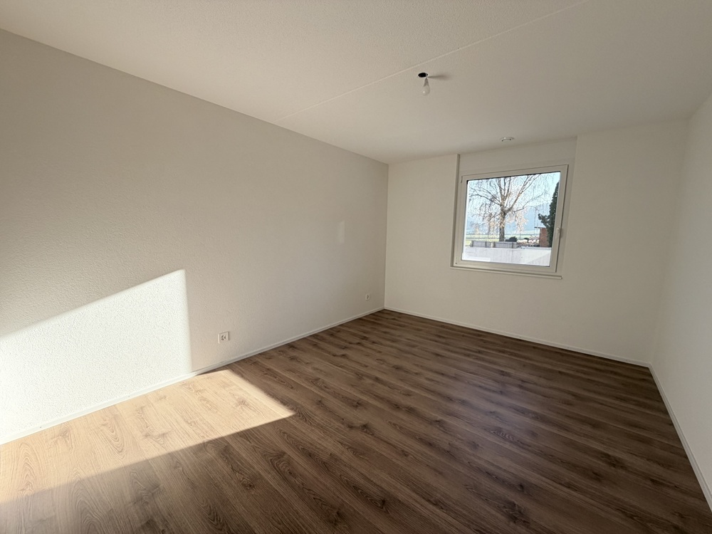 Leerer Wohnraum mit Holzoptikboden