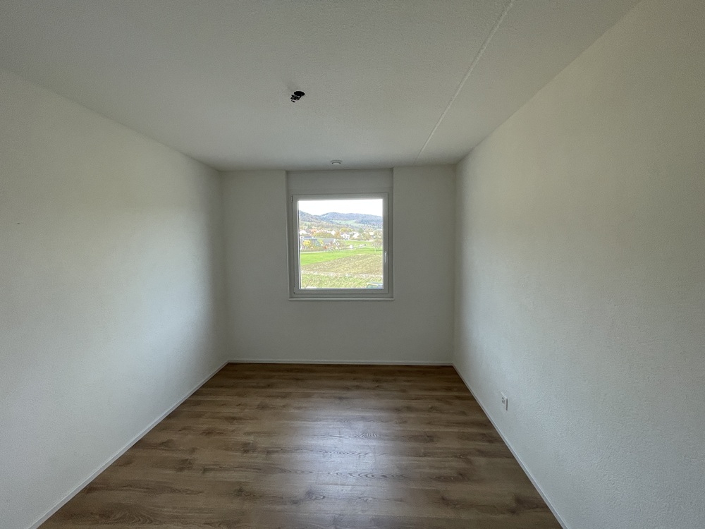 Leerer heller Raum mit Einzelwindow und Ausblick ins Grüne