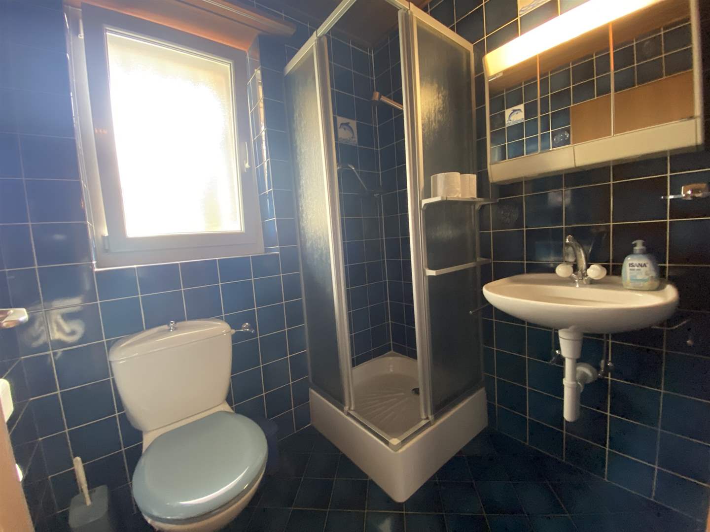 Kleines Badezimmer mit Dusche, WC und Waschbecken