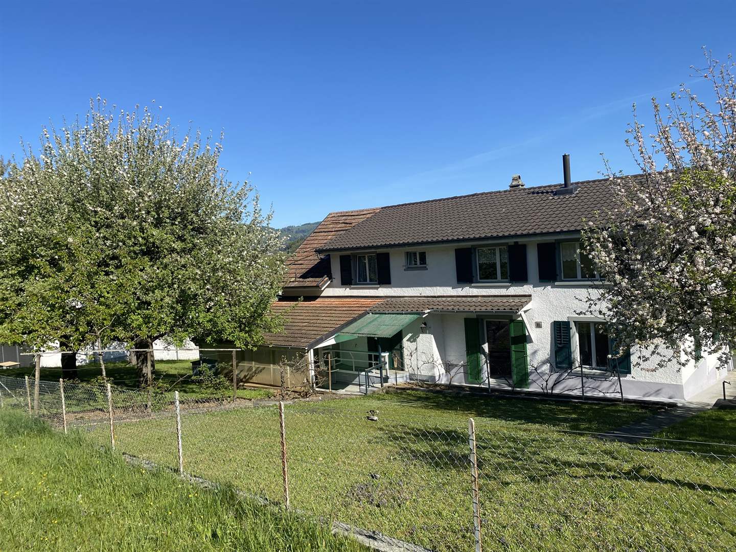 Einfamilienhaus mit Garten