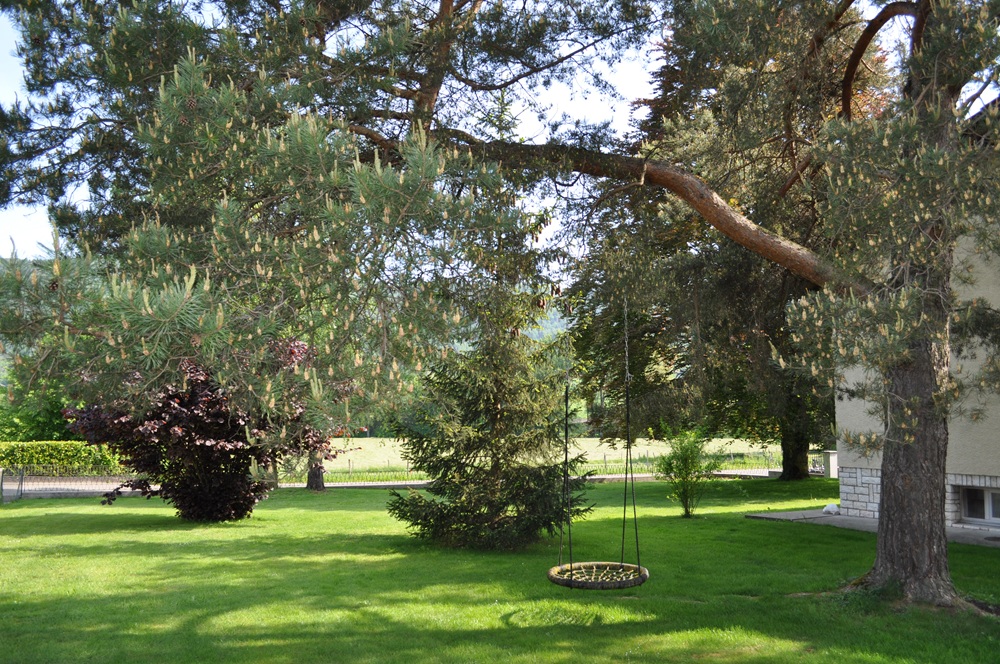 Garten mit großen Bäumen