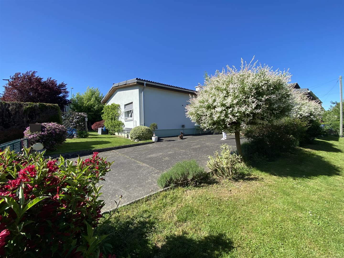 Einfamilienhaus mit gepflegtem Garten und Zufahrt