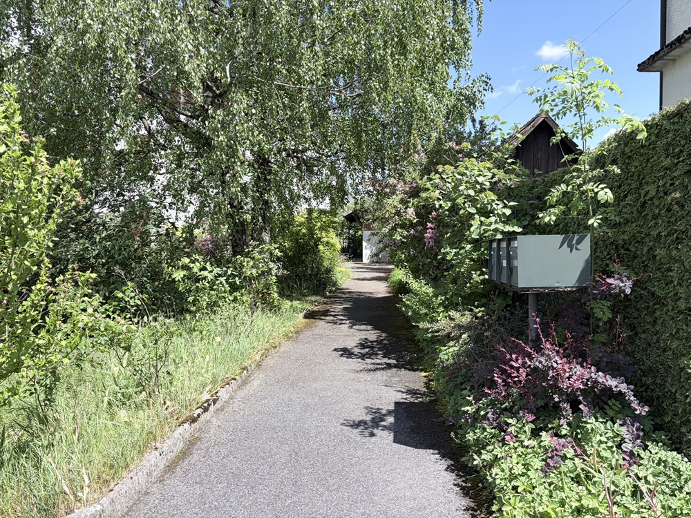 Gartenweg mit dichter Begrünung