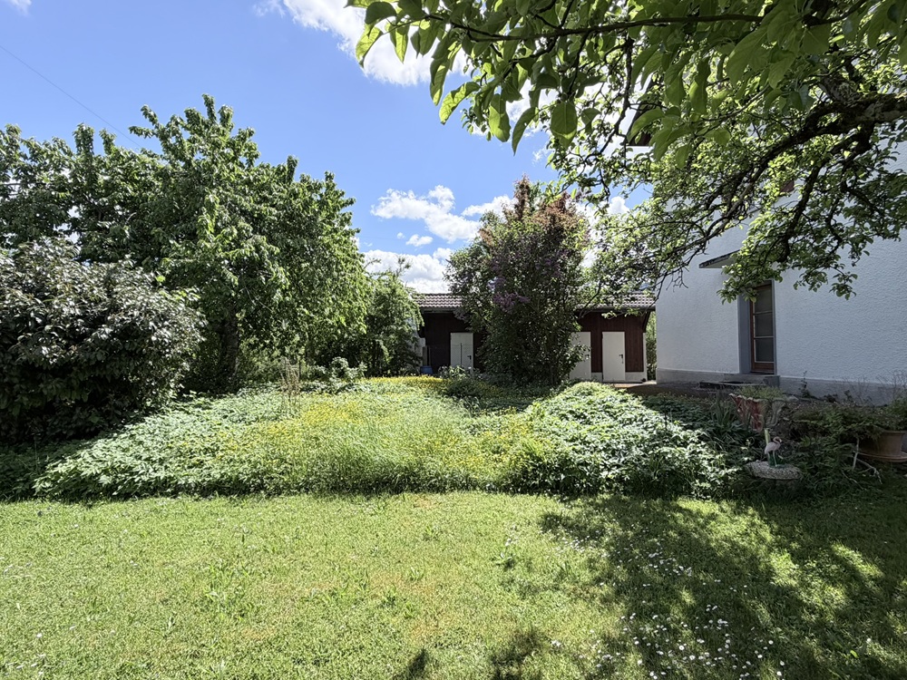Großer grüner Garten mit Nebengebäude