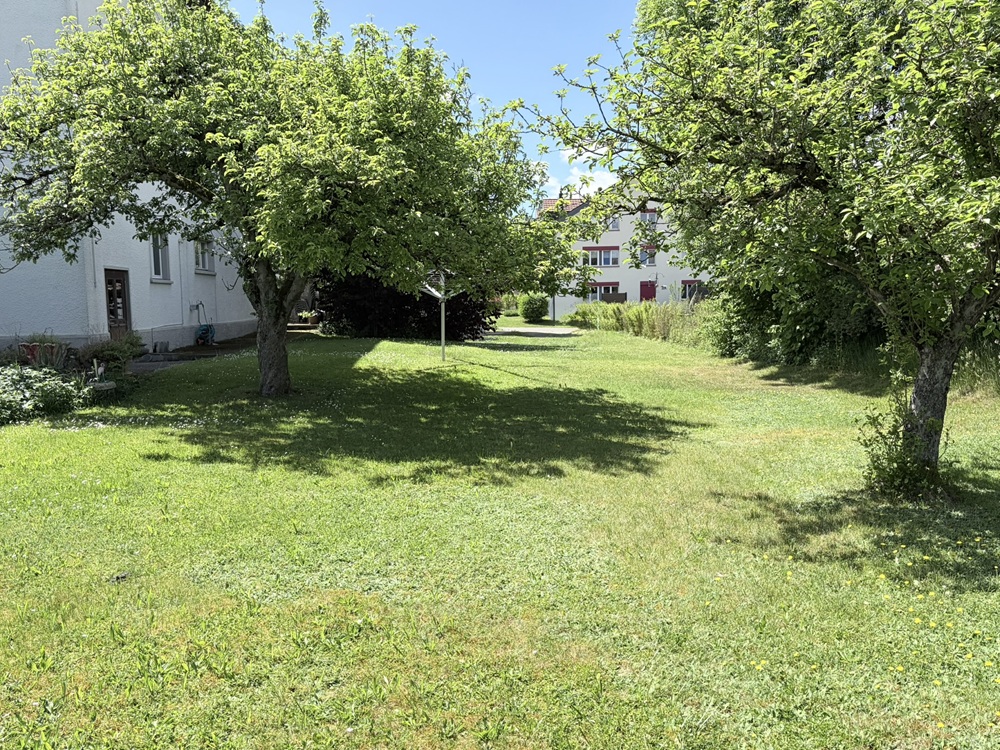 Garten mit Rasen und Bäumen