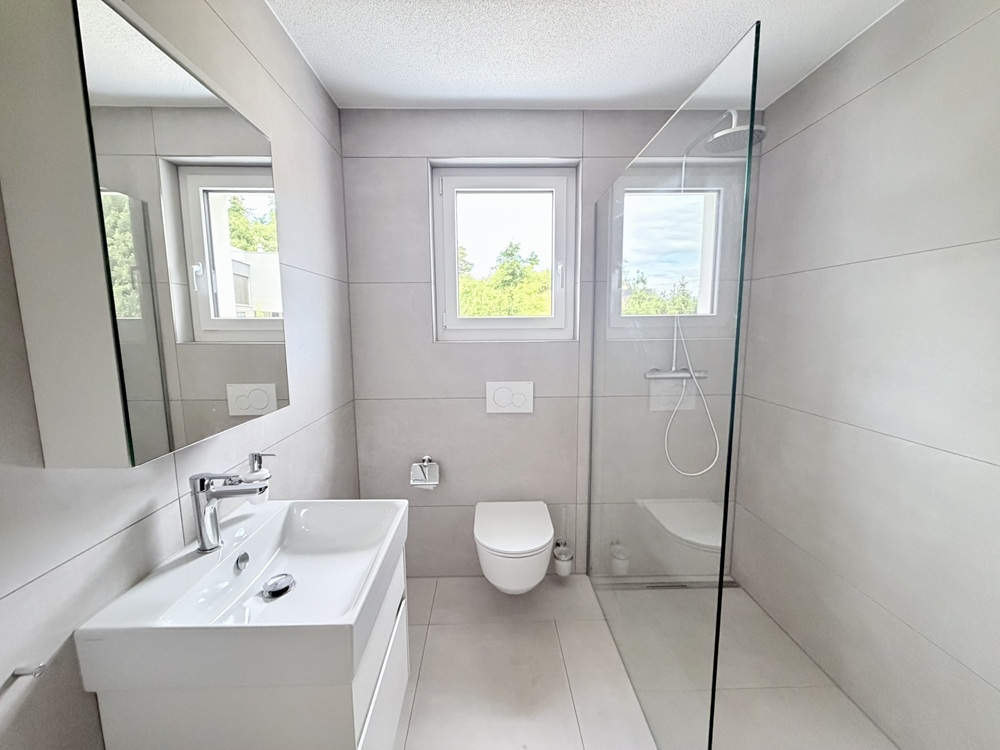 Modernes Bad mit Dusche, WC und Waschtisch