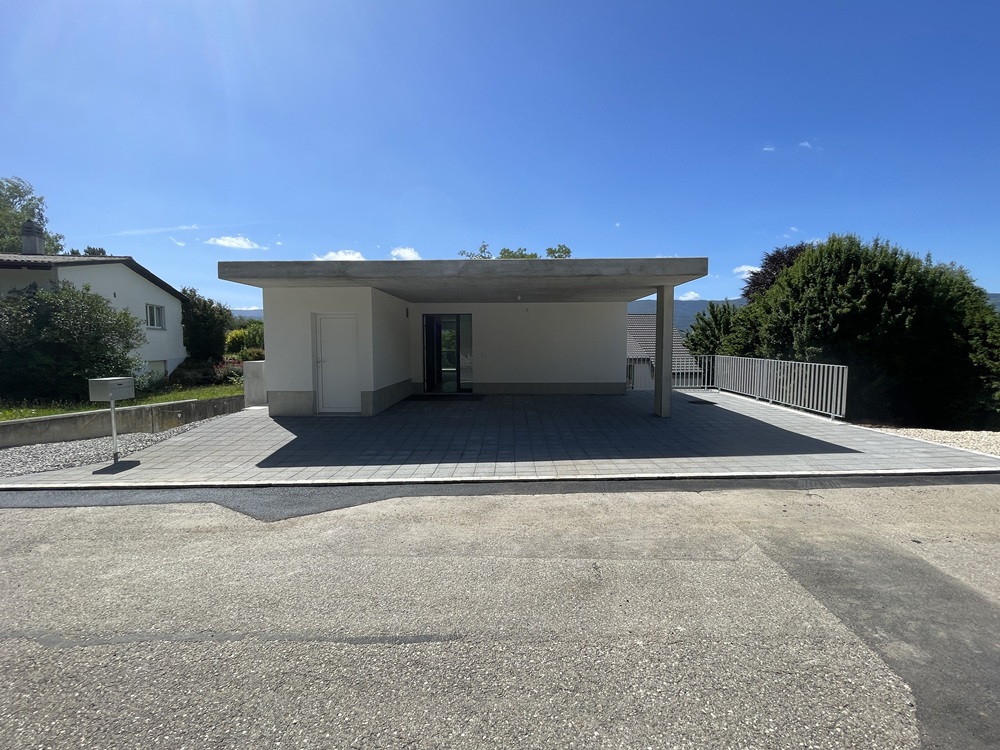 Moderne Außenansicht mit Carport und Terrasse
