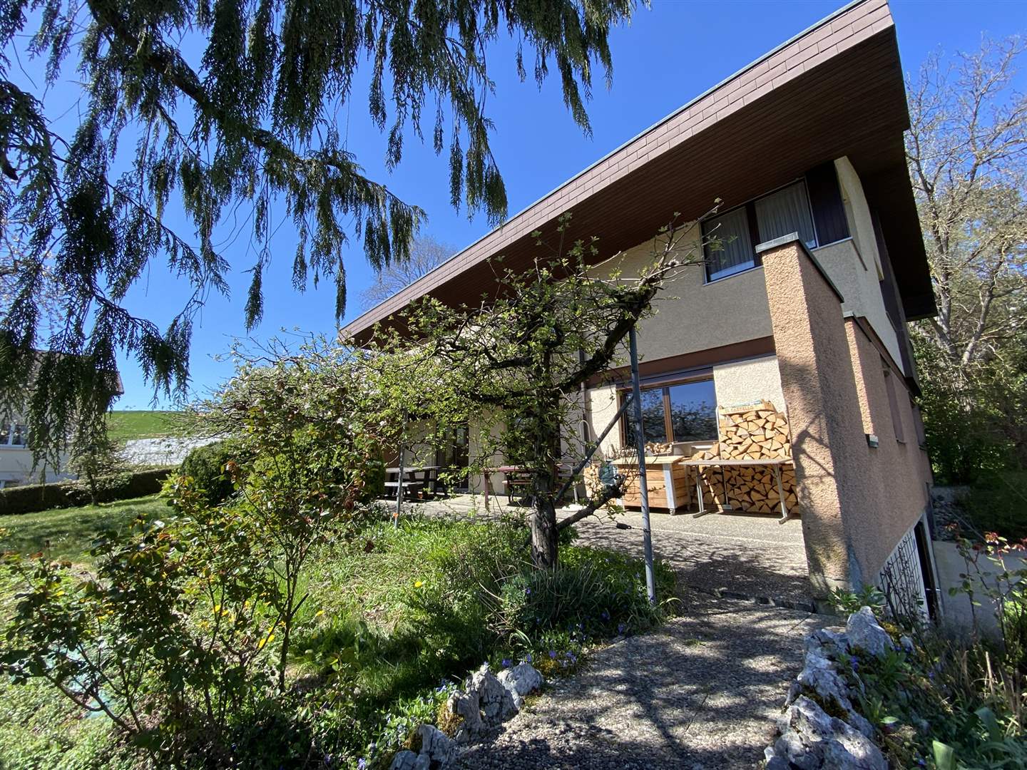 Modernes Haus mit großer Dachüberstandsfront und Garten