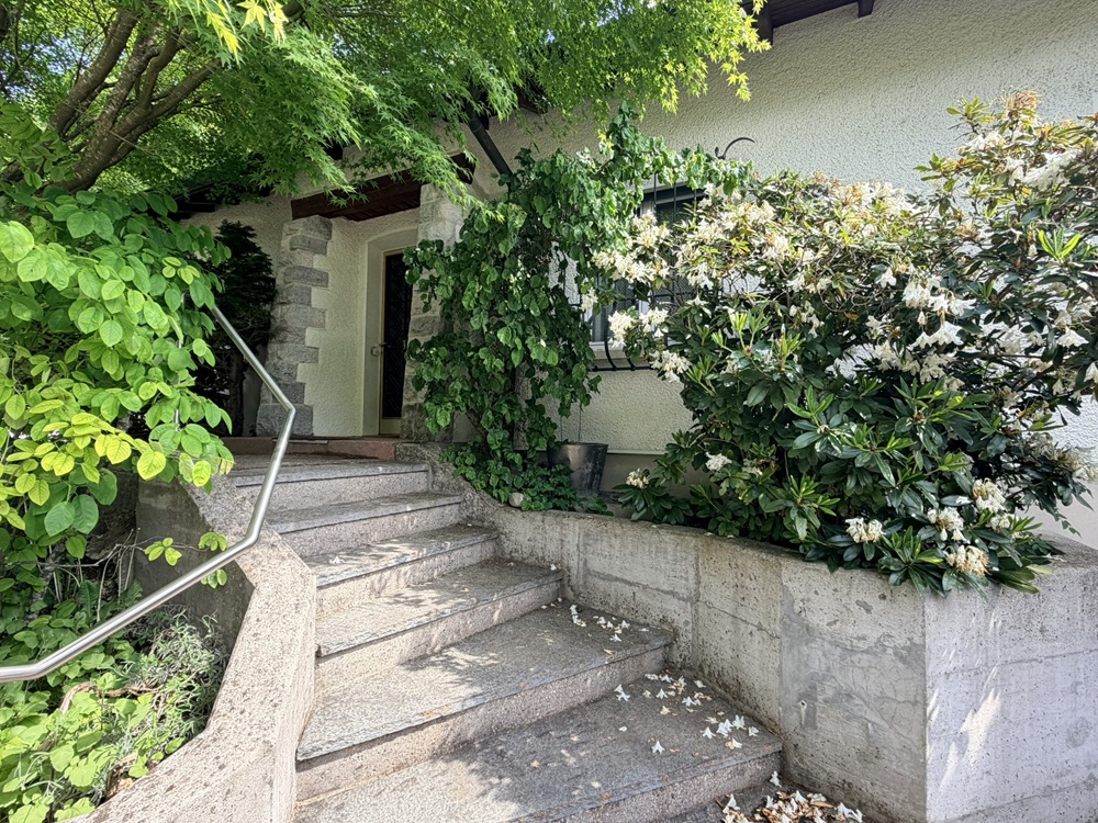 Bewachsener Hauseingang mit Treppe