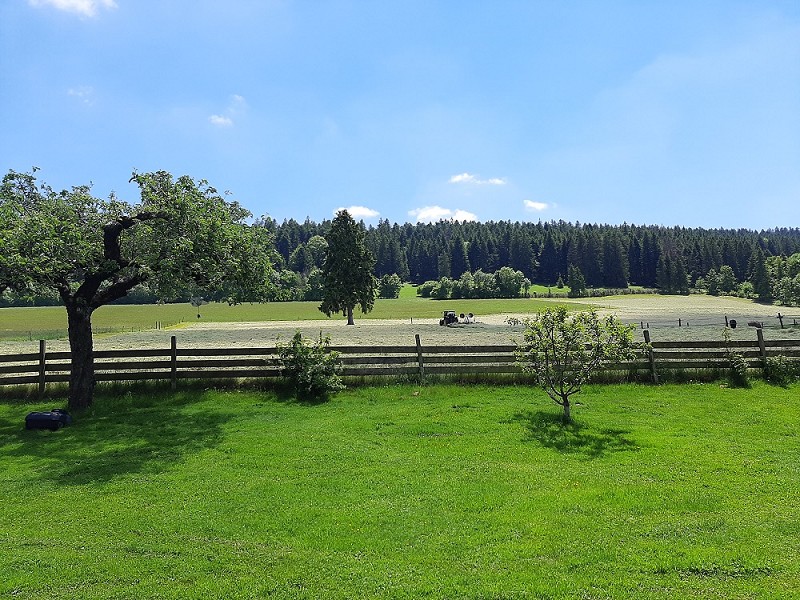 Landschaftsblick über eine Wiese