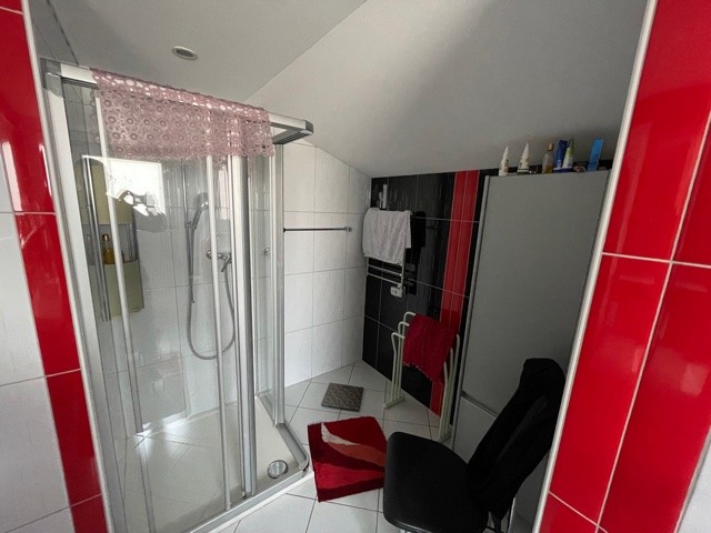Modernes Badezimmer mit Dusche und roten Akzentfliesen