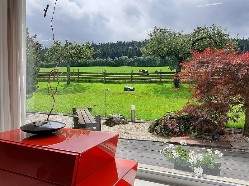 Blick auf Garten und Landschaft durch ein großes Fenster