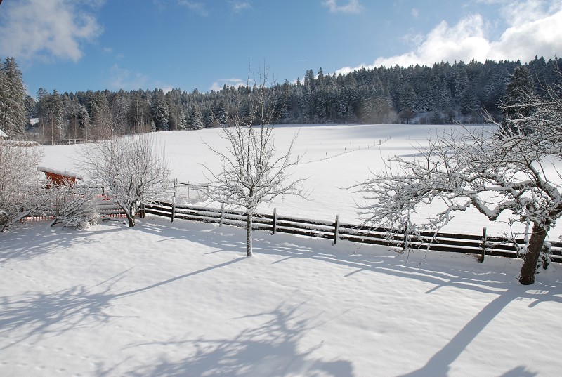 Winterliche Landschaft mit Schnee und weitem Feld
