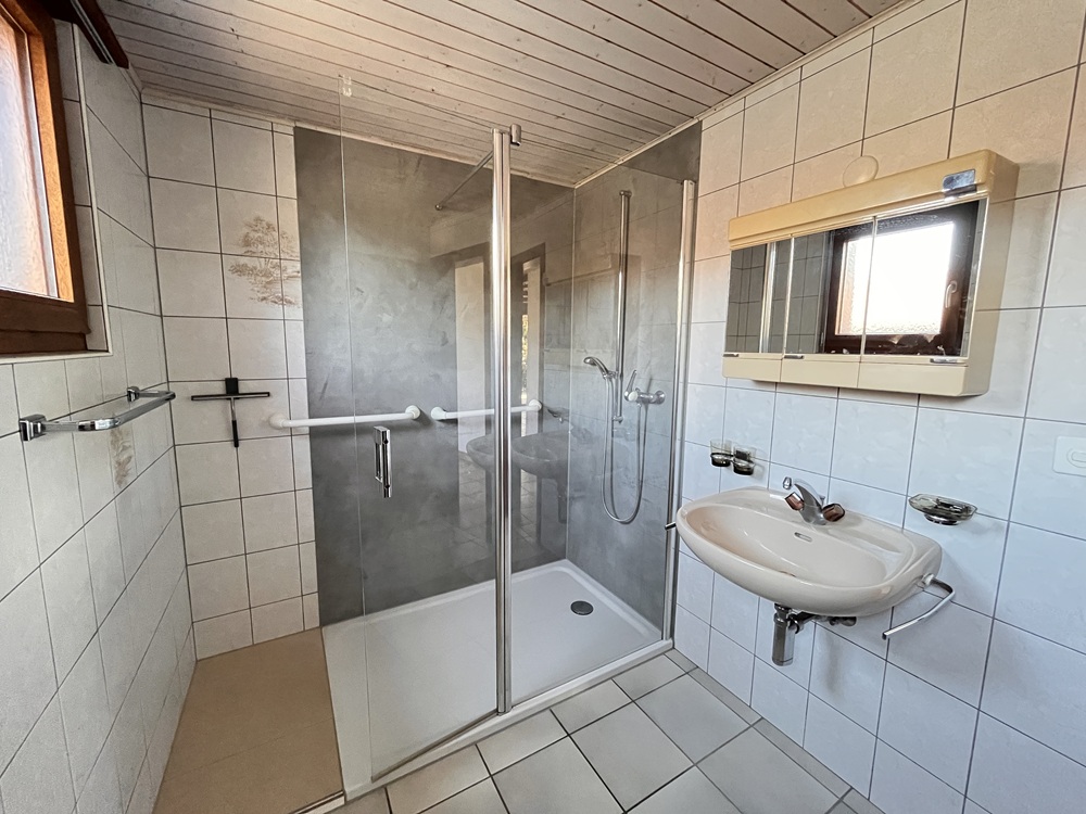 Badezimmer mit Dusche und Waschbecken
