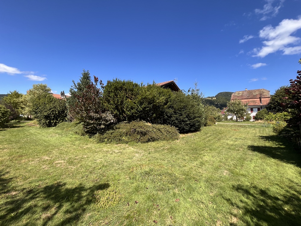 Garten mit Rasen und Büschen
