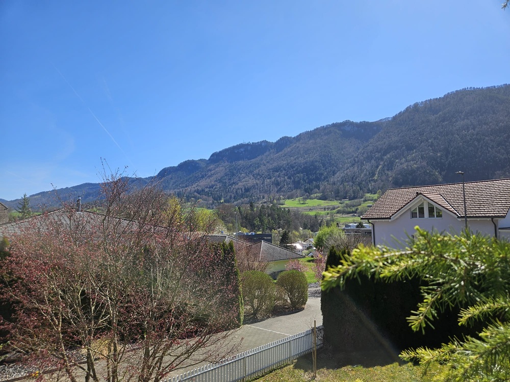 Bergblick über Wohngebiet