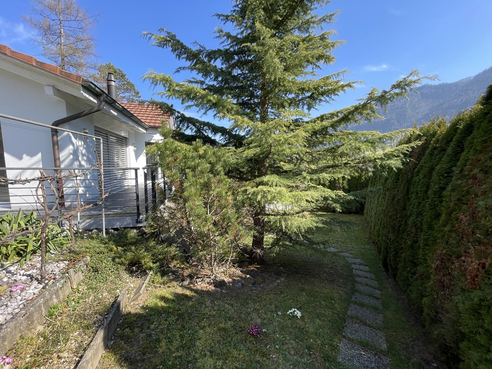 Gartenansicht mit Wohnhaus und Blick auf die Berge