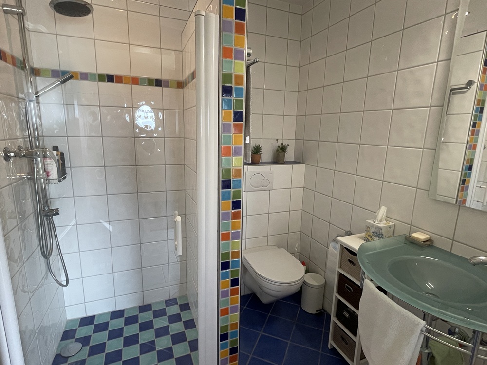Modernes Badezimmer mit Dusche und WC
