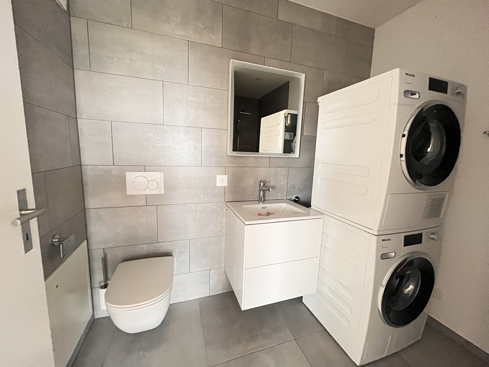 Modernes Gäste-WC mit Hauswirtschaftsbereich
