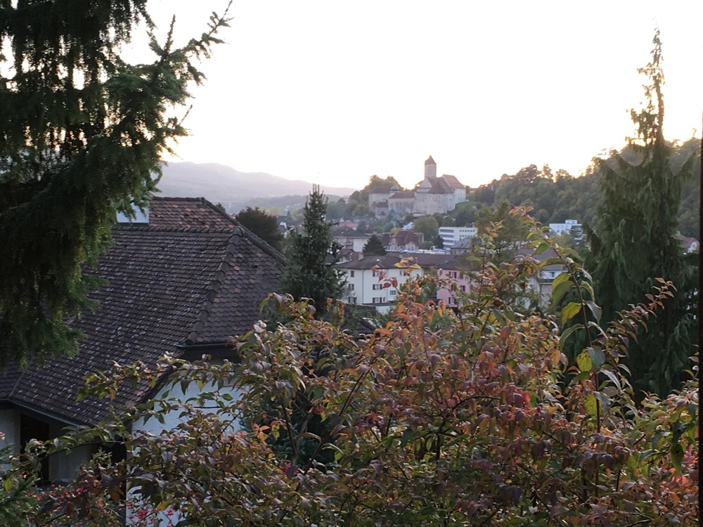 Blick über Dächer auf eine Stadt mit Burg oder Kirche im Hintergrund