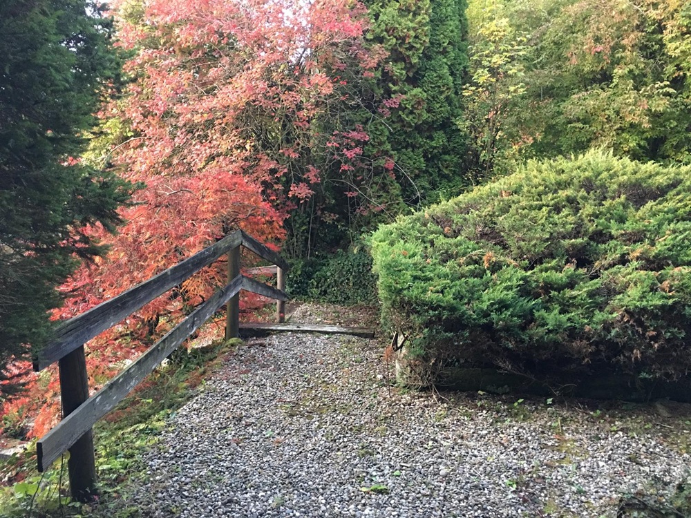 Gartenweg mit Holzgeländer