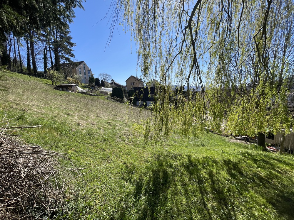 Hügeliger Garten mit Nachbarhäusern