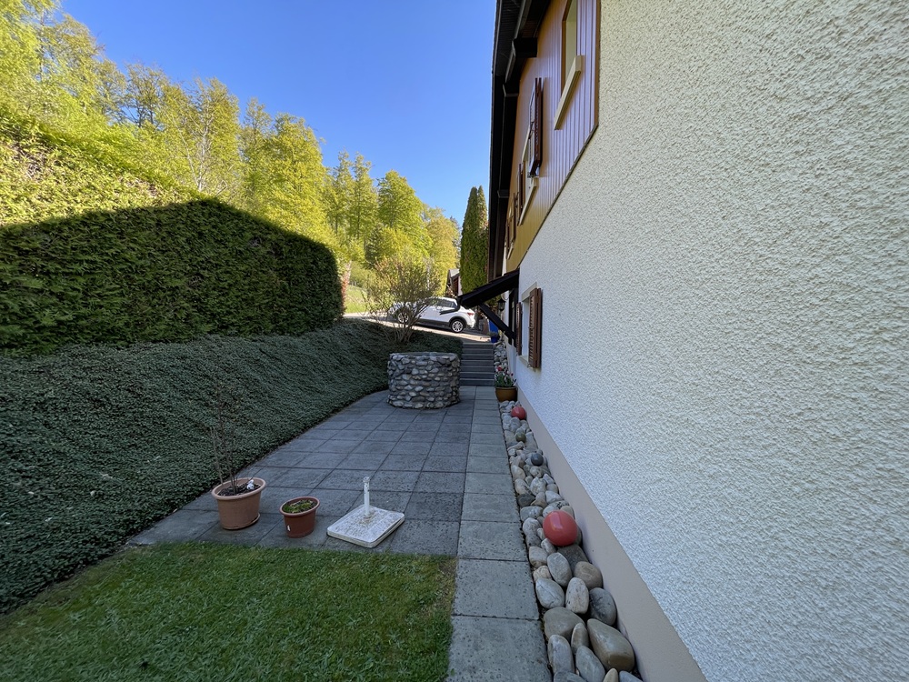 Hausseitiger Gartenweg mit Einfahrt