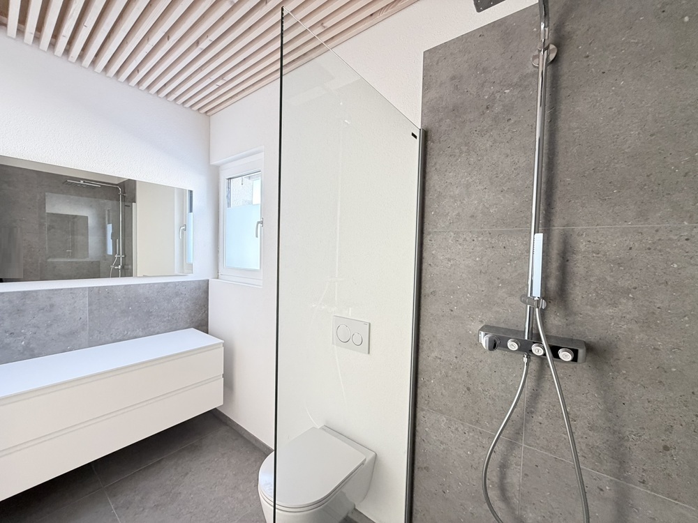 Modernes Badezimmer mit Walk-in-Dusche und Waschtisch