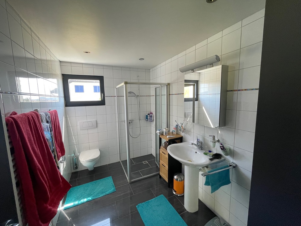 Modernes Badezimmer mit Dusche und Fenster