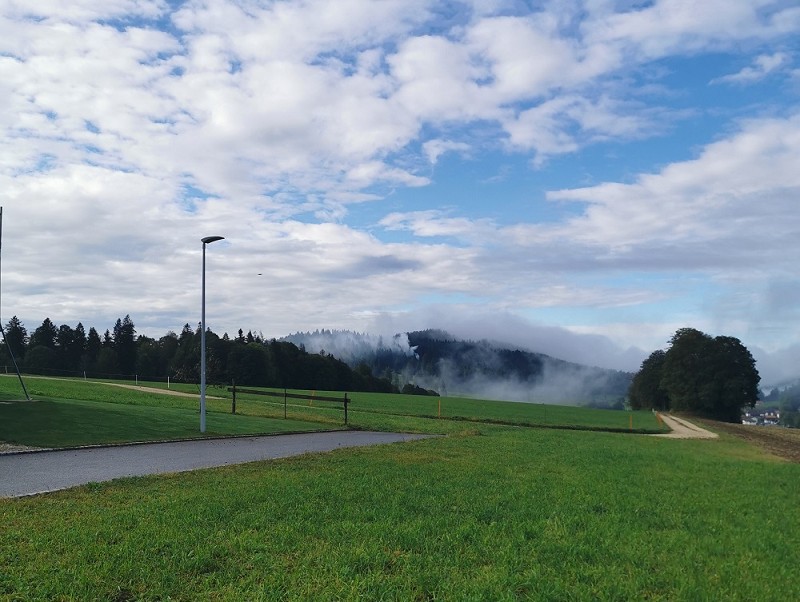 Landschaft mit Wiese und Weg